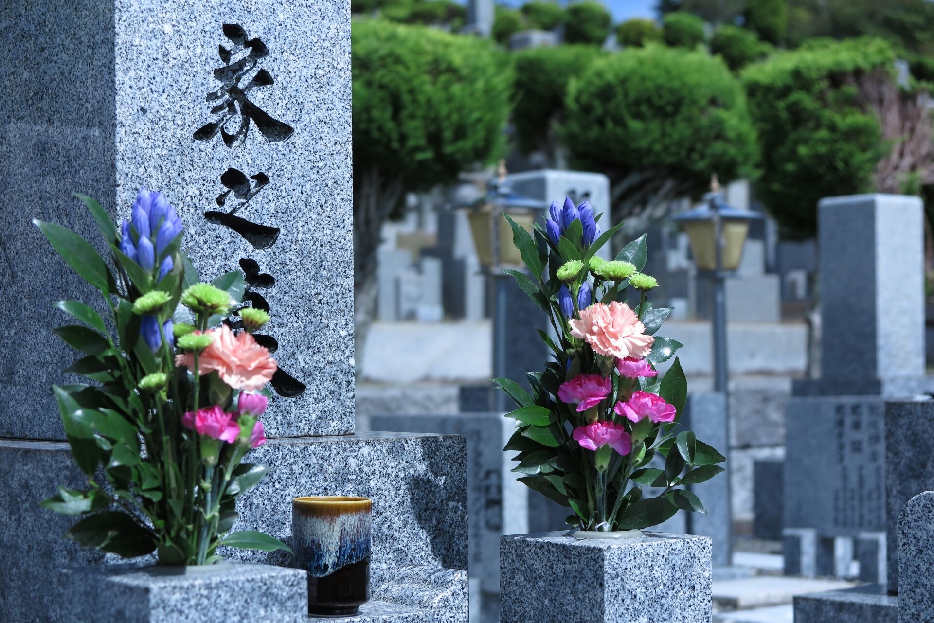 4616821_m